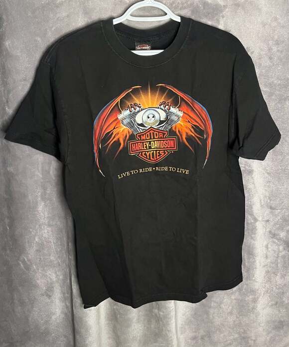 Harley-Davidson Other - Vintage 2004 Wolverine Harley-Davidson Clinton Township MI Dragon Wing Graphic T